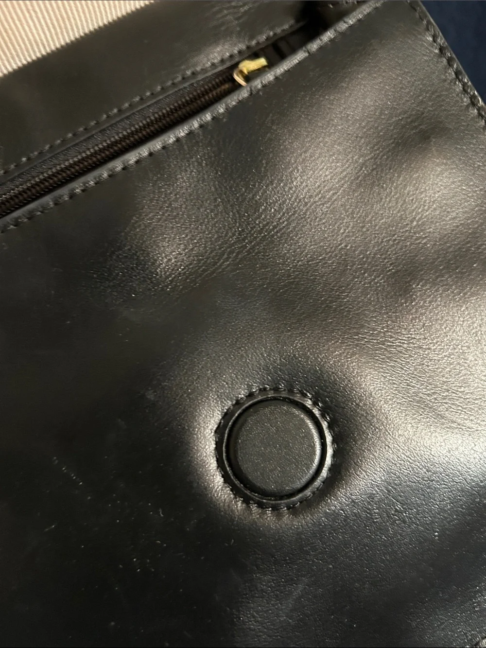 Radley London Leather Crossbody with Dog Charm & Magnetic Closure